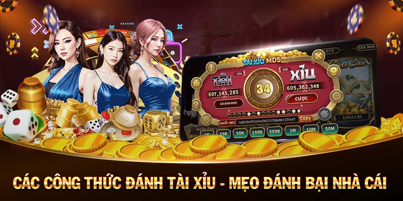 Nhatvip-Bước vào thế giới mới với code tân thủ ngay bây giờ!